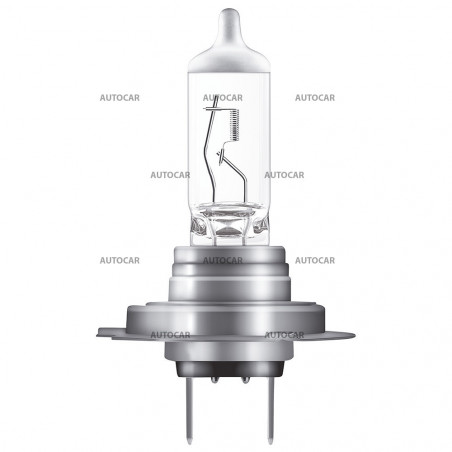 12V 55W PX26d H7 Night 12V 55W PX26d H7 Night