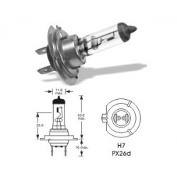 12V 55W  px26d H7 Osram