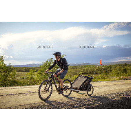 Thule Chariot Lite - Agave