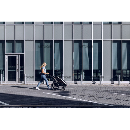 Thule Chariot Lite - Agave Thule Chariot Lite - Agave