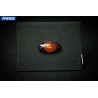FT-025Z LED