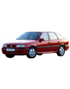 1988 - 1995